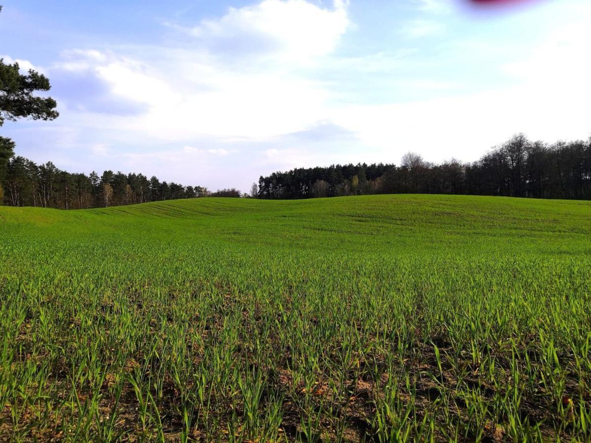 Willa Golcza Vita Choszczno Zewnętrze zdjęcie